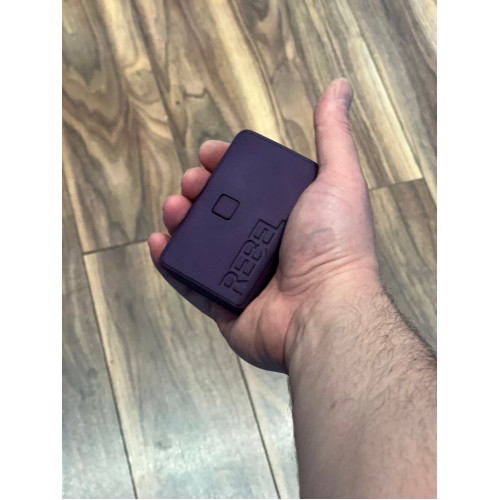 The Rebel Mod Boro - Evolv DNA 60